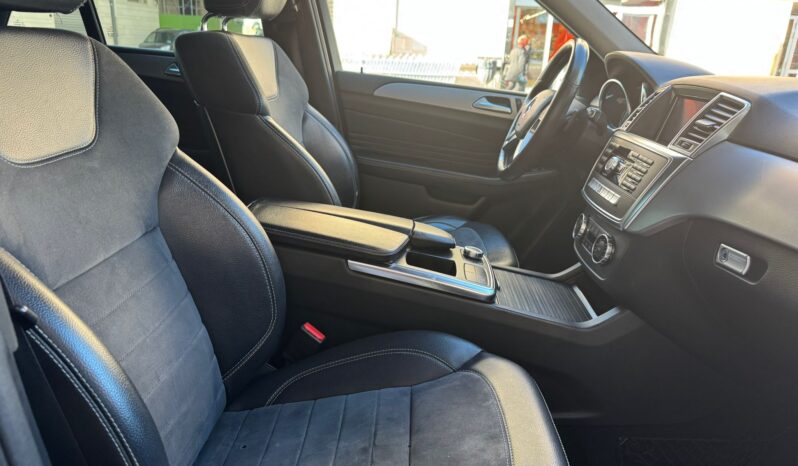 Mercedes-Benz ML 250 Sport Bluetec 204Cv 4Motion pieno