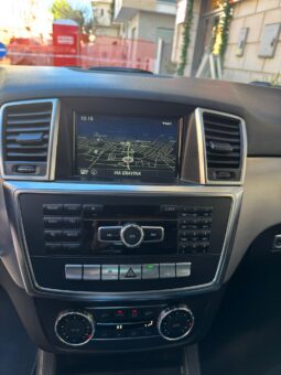 Mercedes-Benz ML 250 Sport Bluetec 204Cv 4Motion pieno